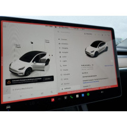 2024 TESLA MODEL Y 7SAYGAEE6RF169305 93116245