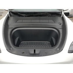 2024 TESLA MODEL Y 7SAYGAEE6RF169305 93116245