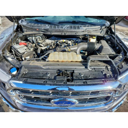 2021 FORD F-150 1FTEW1EP9MFB36999 95538015