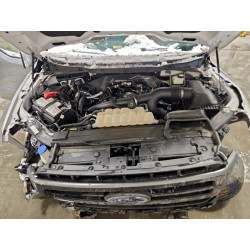 2021 FORD F-150 1FTEW1EP7MFB88972 96521125