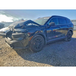 2024 HONDA CRV 7FARS5H58RE011782 97264835