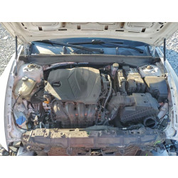 2020 HYUNDAI SONATA 5NPEF4JA7LH050078 95166675