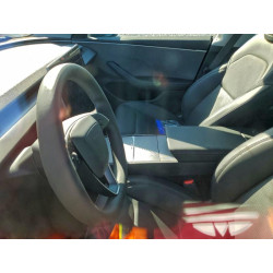 2025 TESLA MODEL 3 5YJ3E1EA1SF969882 96658705