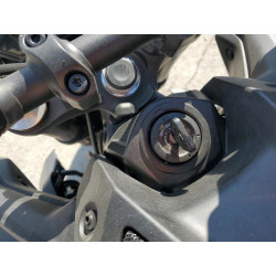 2025 YAMAHA MT09 JYARN94E2SA002764 69819735