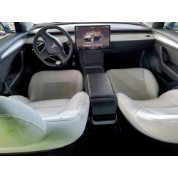 2023 TESLA MODEL 3 5YJ3E1EAXPF396374 98616885