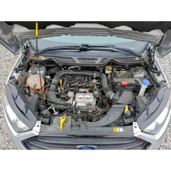 2020 FORD ECOSPORT MAJ3S2FE4LC384038 96210045