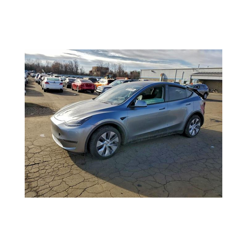 2024 TESLA MODEL Y 7SAYGDEE3RA284782 93117255