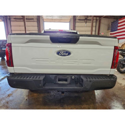 2024 FORD F150 1FTEX1LP9RKD67559 97262075