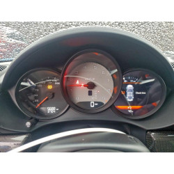 2024 PORSCHE CAYMAN WP0AD2A86RK270103 73299065