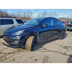 2020 TESLA MODEL Y 5YJYGDEEXLF042806 98114015