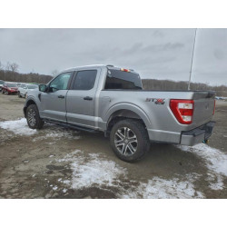 2021 FORD F-150 1FTEW1EP0MKD19425 98808425