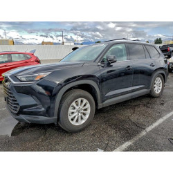 2025 TOYOTA GRAND HIGH 5TDABAA53SS002128 91941625