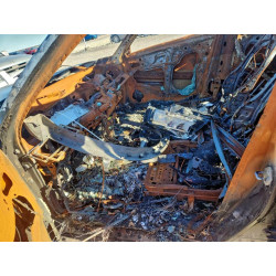 2024 HONDA CIVIC 19XFL1H81RE029688 96752185