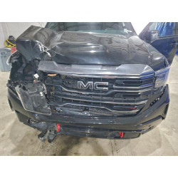 2024 GMC SIERRA 1GTUUEELXRZ121231 98303885