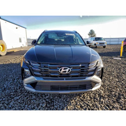 2025 HYUNDAI TUCSON 3KMJB3DE1SE011439 95808135