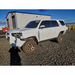 2022 TOYOTA 4RUNNER JTEPU5JR1N6008248 97639565