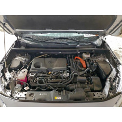 2023 TOYOTA RAV4 4T3E6RFV4PU123401 97264255