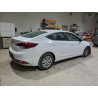 2020 HYUNDAI ELANTRA 5NPD74LF7LH546189 95949515
