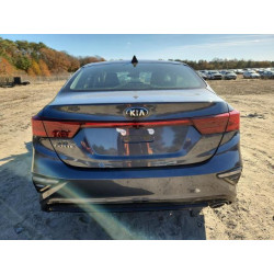 2020 KIA FORTE 3KPF24AD2LE245391 92383095
