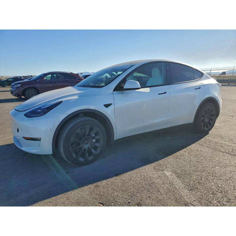 2024 TESLA MODEL Y 7SAYGDEE1RF149819 95642875