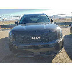 2022 KIA TELLURIDE 5XYP3DHC0NG310842 99727015