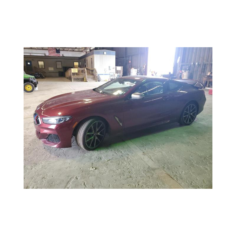 2020 BMW M8 WBABC4C04LCE77570 54215985