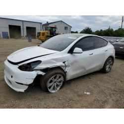 2023 TESLA MODEL Y 7SAYGAEE0PF641124 65140725