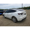 2023 TESLA MODEL Y 7SAYGAEE0PF641124 65140725