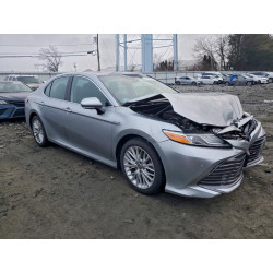 2020 TOYOTA CAMRY 4T1F31AK2LU533841 99319895
