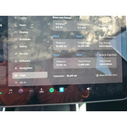 2020 TESLA MODEL 3 5YJ3E1EA7LF597238 91017745