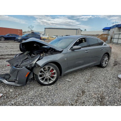 2022 CADILLAC CT5 1G6DN5RK1N0116855 96382775