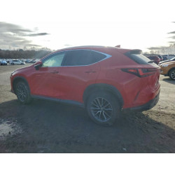 2024 LEXUS NX 350H BA 2T2GKCEZ6RC025677 99620615