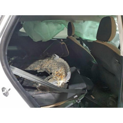 2021 FORD ESCAPE 1FMCU0G65MUA68526 73519555