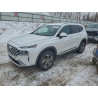 2022 HYUNDAI SANTA FE 5NMS2DAJXNH384460 97637705