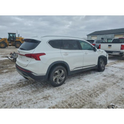2022 HYUNDAI SANTA FE 5NMS2DAJXNH384460 97637705