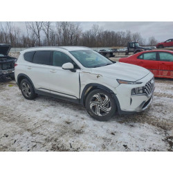 2022 HYUNDAI SANTA FE 5NMS2DAJXNH384460 97637705