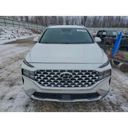 2022 HYUNDAI SANTA FE 5NMS2DAJXNH384460 97637705