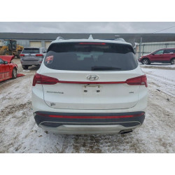 2022 HYUNDAI SANTA FE 5NMS2DAJXNH384460 97637705