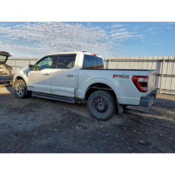 2021 FORD F-150 1FTFW1EDXMFC21988 96985705