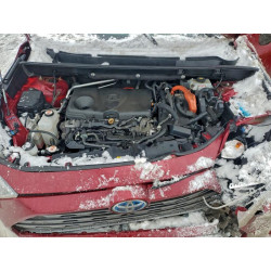 2021 TOYOTA RAV4 2T3DWRFV8MW119990 98777325