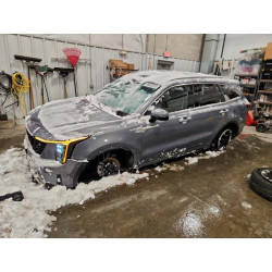 2024 KIA SORENTO 5XYRLDJC0RG260355 94663225