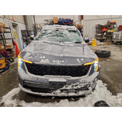 2024 KIA SORENTO 5XYRLDJC0RG260355 94663225