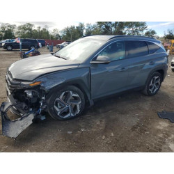 2024 HYUNDAI TUCSON 5NMJECDE4RH367221 82288055