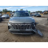 2024 HYUNDAI TUCSON 5NMJECDE4RH367221 82288055