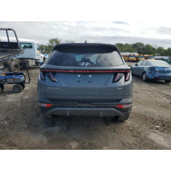 2024 HYUNDAI TUCSON 5NMJECDE4RH367221 82288055