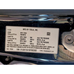2025 TESLA MODEL 3 5YJ3E1EA1SF903302 94138425