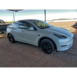 2022 TESLA MODEL Y 7SAYGDEE7NF427939 97123435