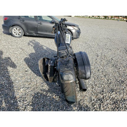 2023 HARLEY-DAVIDSON FXLRS 1HD1YWZ23PB024942 95954075