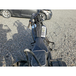 2023 HARLEY-DAVIDSON FXLRS 1HD1YWZ23PB024942 95954075