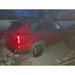 2024 KIA TELLURIDE 5XYP3DGC7RG546993 99215425